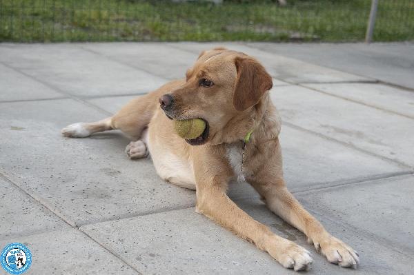 Washy: cercasi umano disposto a farsi rubare il cuore Foto 7